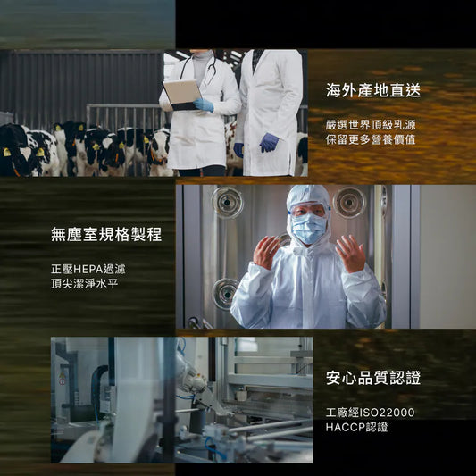 Spark Protein Builder 長效型乳清蛋白