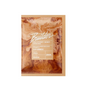 Spark Protein Builder長效型乳清蛋白(蜜香厚奶茶) 36g