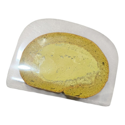 預訂 -CU Dear Magic Bakery 無糖低碳魔法牛乳卷 Magic Milk Roll Cake