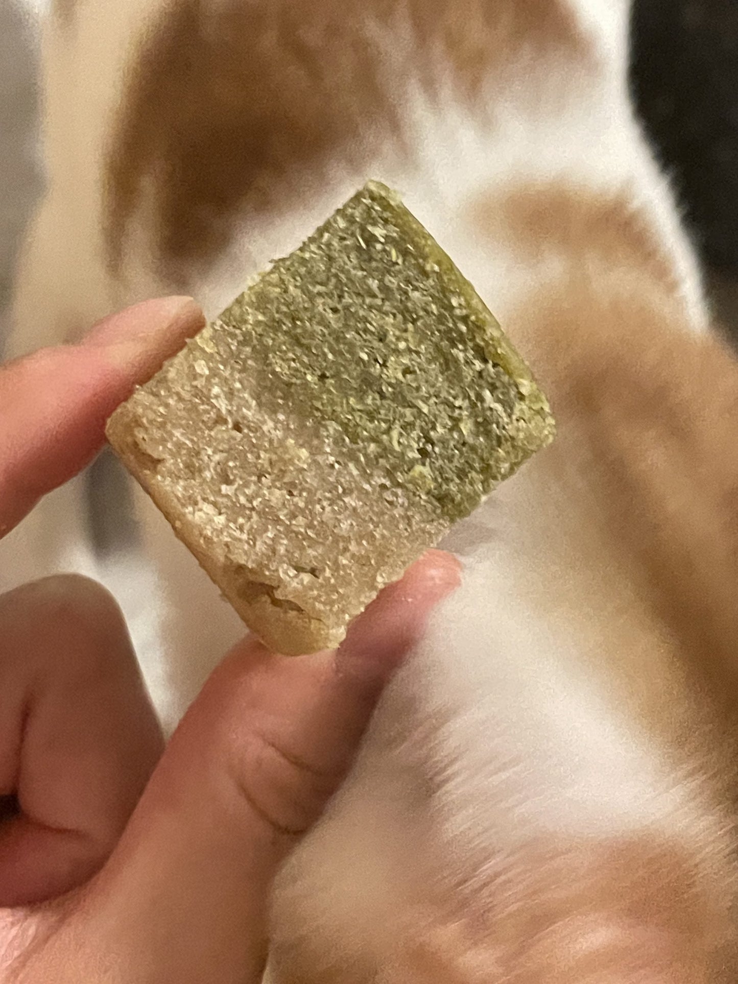 Fit Fin Chewy 斑斕椰子口味  FitFIN Chewy kanom Piakpoon