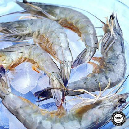 Obsiblue - 法國急凍水晶藍蝦 40/50 -1kg