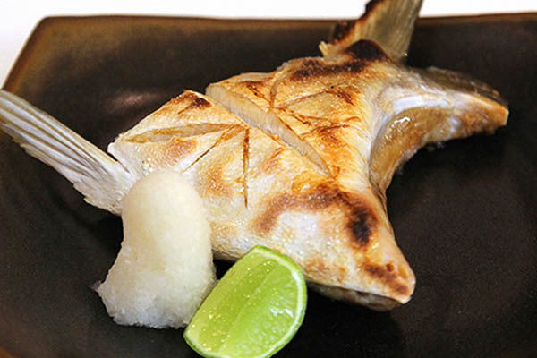 日本油甘魚鮫 5件裝