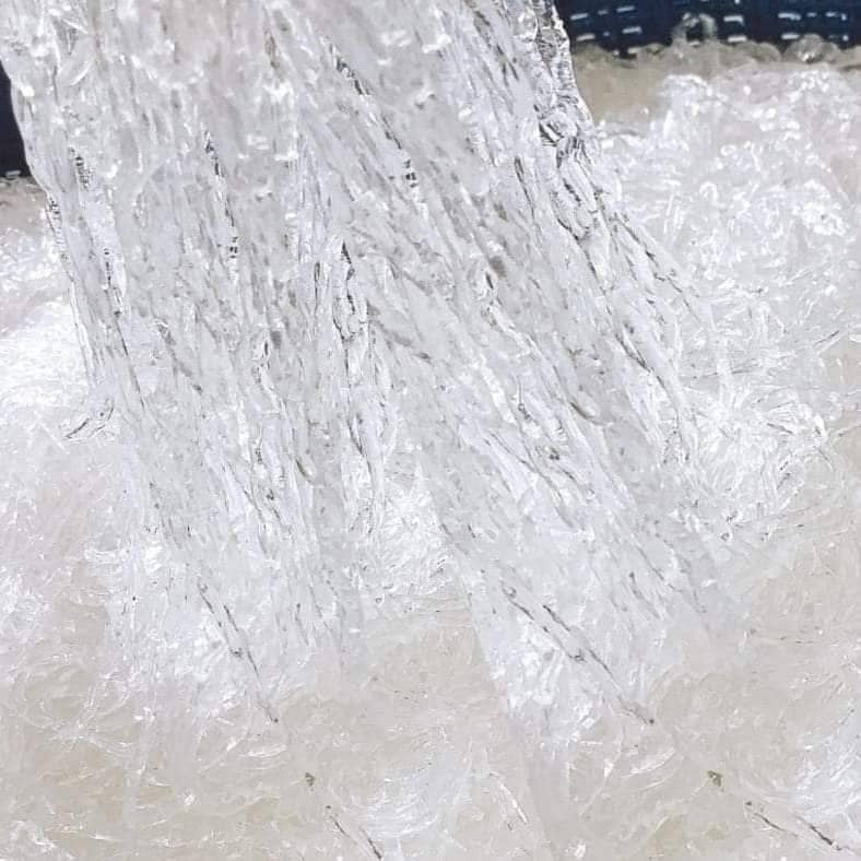 生酮純素海藻麵