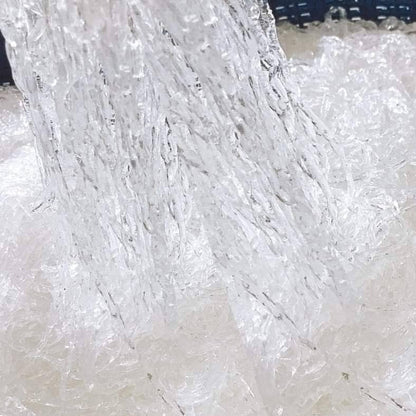 生酮純素海藻麵