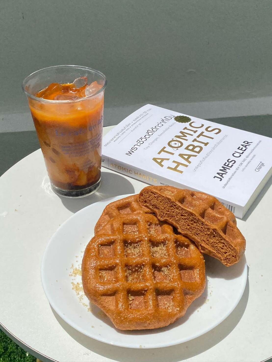 FitFIN NO SUGAR BUN 低碳高蛋白包