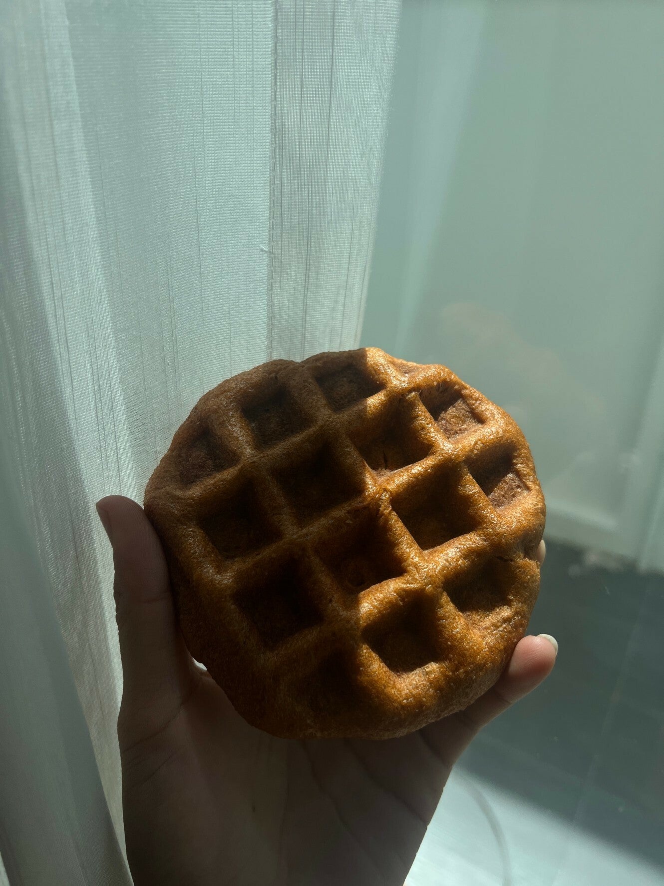 FitFIN NO SUGAR BUN 低碳高蛋白包