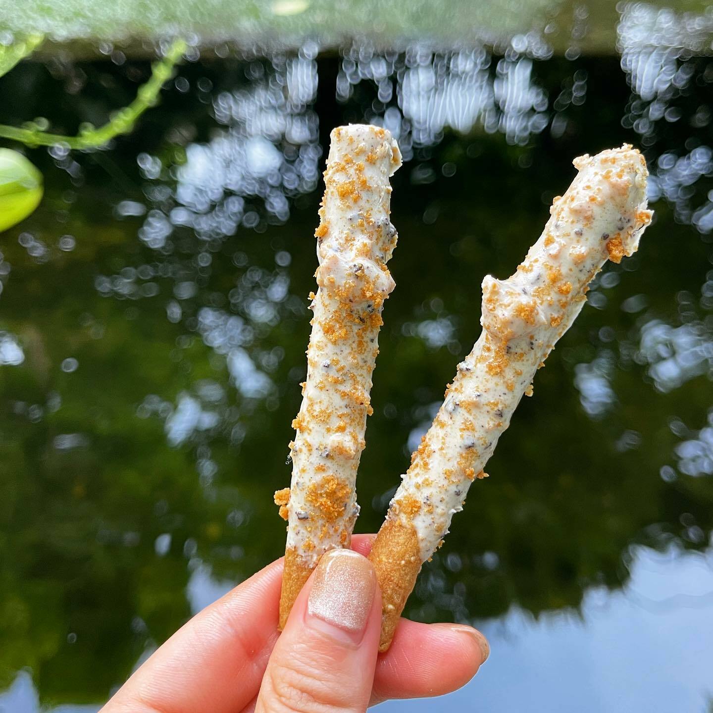 Choose Lean 低碳高蛋白 咖啡味百力滋 -BISCOFF